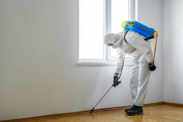 Best Termite Control Services  in North Belle Vernon, PA