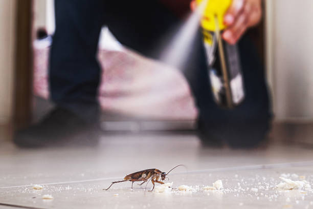 Best Pest Inspection Near Me  in North Belle Vernon, PA