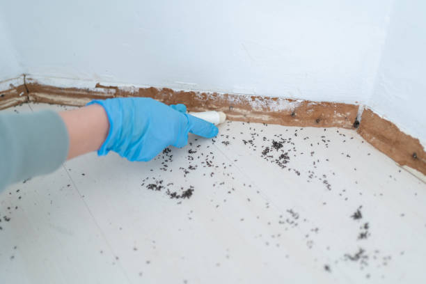 Best Commercial Pest Control Services  in North Belle Vernon, PA